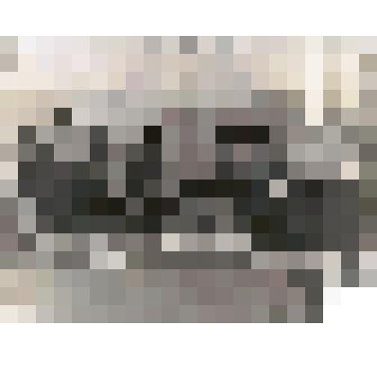 Фотография. Шахматный турнир