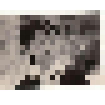 Фотография. Рушева Н.Н