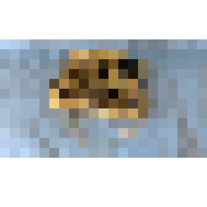 Шапка детская