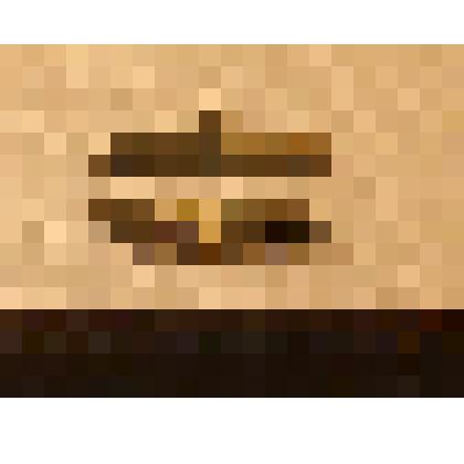 Пластина ножевидная