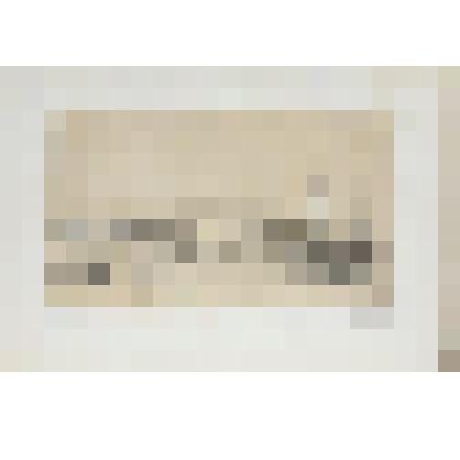 Литография. "Санкт-Петербург. Зимний дворец и Адмиралтейство (вид с Биржевой набережной) "