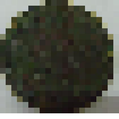 Монета, номинал - 1  КОПЕЙКА, 1908 г., Россия