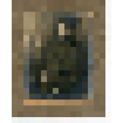 Фотография. Семен Михайлович Буденный