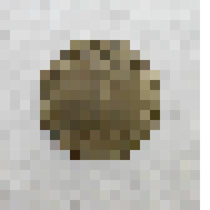 Монета австрийская достоинством 1 шилинг