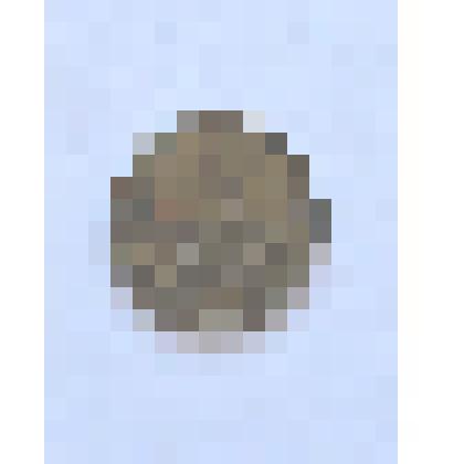 Монета. 1 копейка