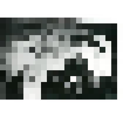 Фотокопия. Руководители отрядов экспедиции АН СССР с председателем СНК ЯАССР М.К. Аммосовым