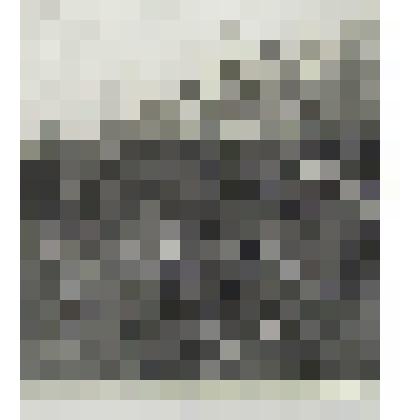 Вербная тишина