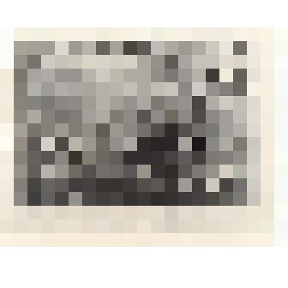 Фотокопия. Коса-стояк, борона и другие земледельческие орудия. С фотогр. И.А. Никольского ("Жизнь и быт крестьян Олонецкой губернии конца ХIХ - начала XX вв."). Из комплекта: Фотокопии фотографий из книги "Полное географическое описание нашего Отечества"