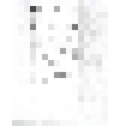 Ксерокопия писем Остроухова И.С. к А.А. Киселеву от 26.10.1892 г