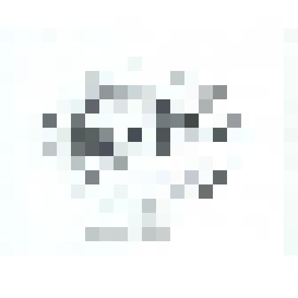 «EX LIBRIS А.Дубова». 1975