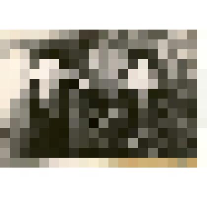 Фотография: старейшие коммунарки коммуны "Социализм" с 1920 г. Юженко Мария Ивановна и Перевалова Пелагея Исаковна