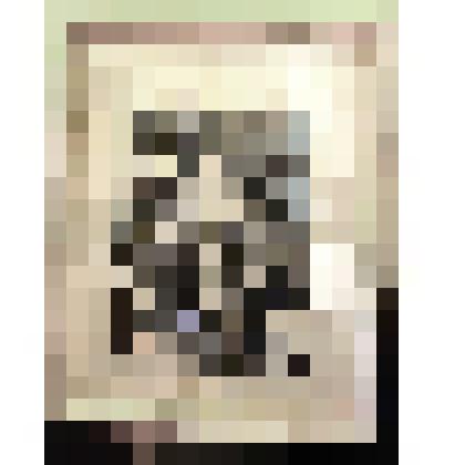 Офорт "Салават"