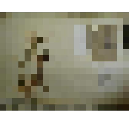 Гербарий. Одуванчик рогоносный, гербария М.И.Губельмана