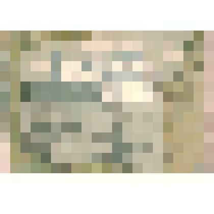 «В Соловецком монастыре».1981