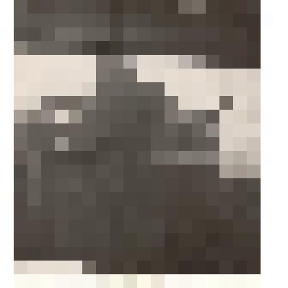 Фотография: памятник красным партизанам в с.Ново-Ярки Каменского района