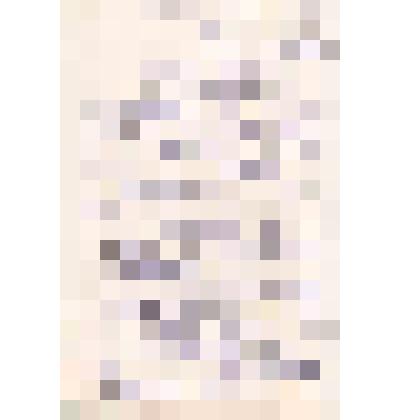 Диплом (копия) № У – 24/381 – 17 Нецветаева В.М.  об окончании Краснодарского сельскохозяйственного  института