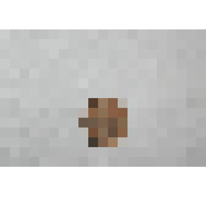 Монета. 1/4 копейки