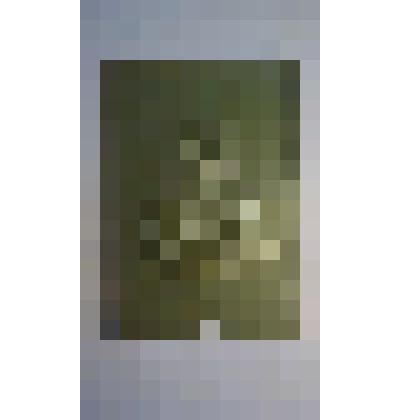 Портрет Л.Н.Толстого. Барельеф на картоне