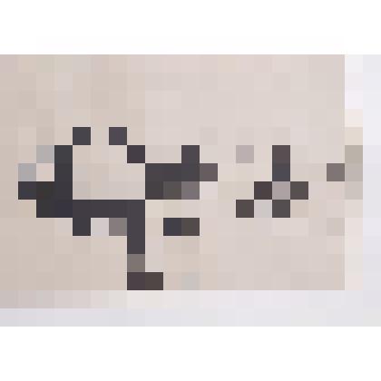 Солнечный дождь