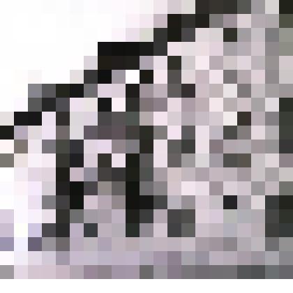 Фотография. Дом для работников сахарного завода