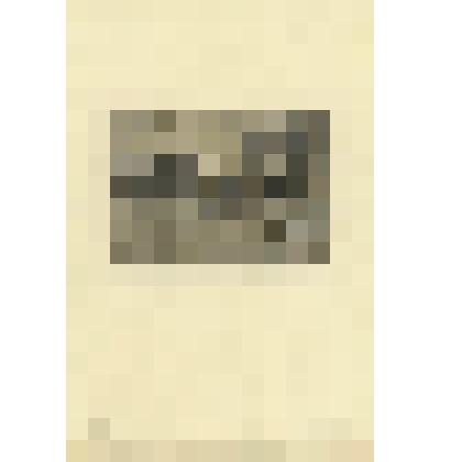 Пляж. Из серии «Крымская сюита».1916-1917