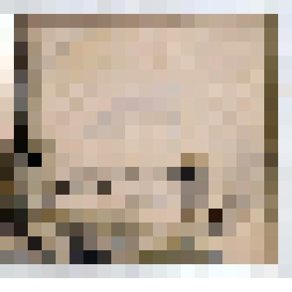 Вернулась домой