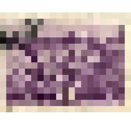 Марка почтовая  «Всесоюзный пионерский лагерь «Артек». Пионеры в походе», серия «Всесоюзная пионерская организация имени В.И.Ленина»