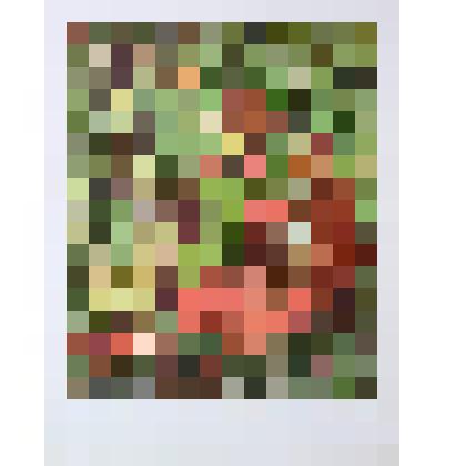 Лиса и колобок