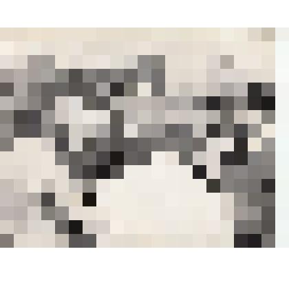 Ф/чб. Открытие автомоста Саратов-Энгельс через р. Волга. Секретарь ОК КПСС Шибаев А.И. приветствует  мостовиков. 11.07.1965