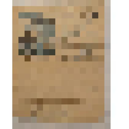 Письмо воинское от Мандельштама Е.Э