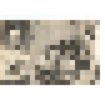 Фото ч/б. Полянский Лев Николаевич, депутат Верховного Совета СССР, ведущий врач-отоларинголог АССР НП, заслуженный врач РСФСР, в своем кабинете. Энгельс. 1938