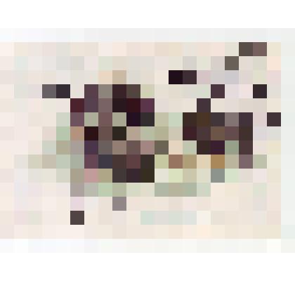 Марка почтовая. Афганистан. Черные мыши