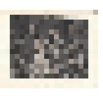 Вооружение юного рыцаря