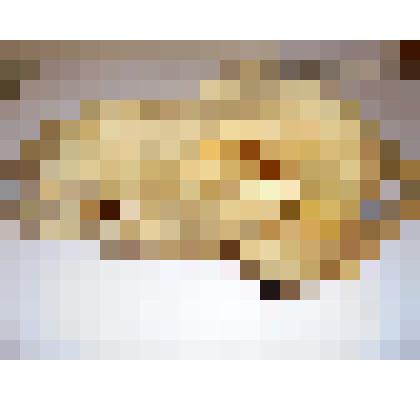 Скелет медвежьи головы