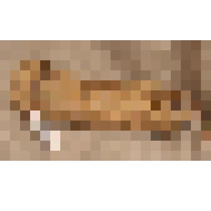 Лапоть марийский женский. От пары, из коллекции бытовых вещей из этнографической экспедиции Саратовского областного музея краеведения в сентябре 2006 года в Питерский район