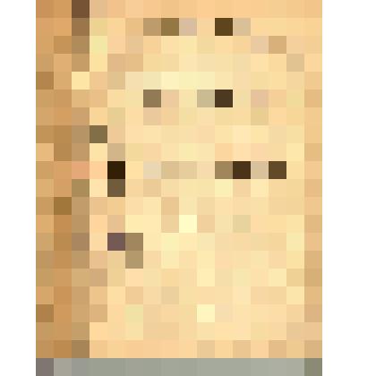 На перевале. II Кризис мысли. - Петербург: Алконост, 1918