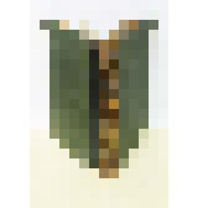 Энциклопедический словарь   Том 58
под редакцией К.К.Арсеньева и проф. Ф.Ф.Петрушевского