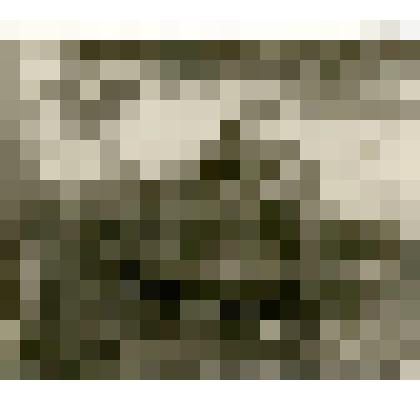 Фотография. Обмолот хлеба