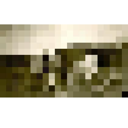 Фотография. Мятье кожи. Якуты за работой возле дома