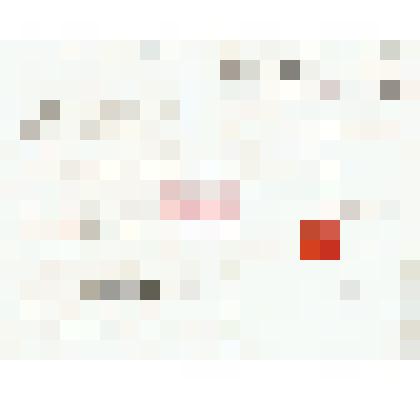 Письмо Эдмонда Гру Н.М. Мартьянову на французском    языке. Благодарит за отчет музея за 1894 г