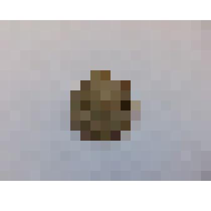 Монета "15 копеек 1923 года"