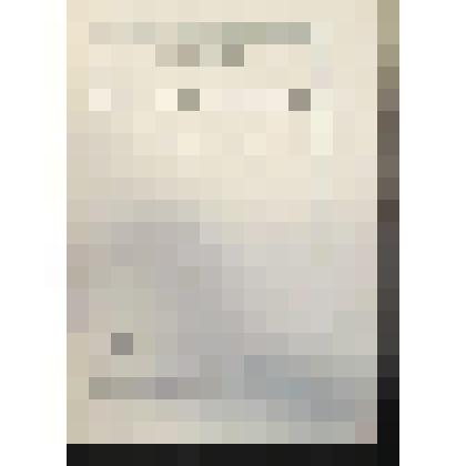 Фарфоровые табакерки Императорского Эрмитажа